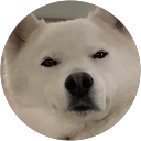 Jany Dor profile picture
